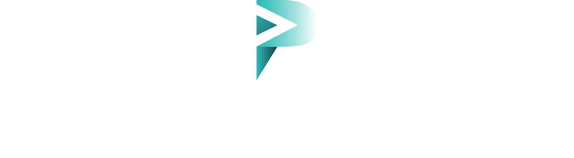 Padula media logo image