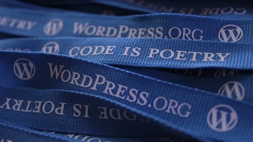 wordpress, professional website